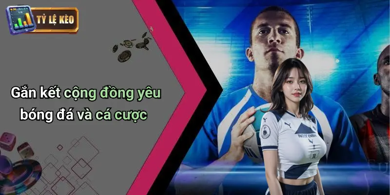 Trực tiếp bóng đá 3 Trực Tiếp Bóng Đá
