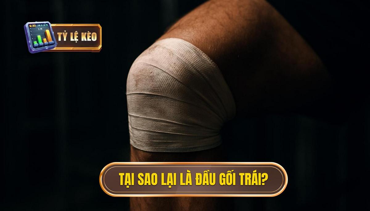 Nền Tảng Cơ Bản_ Tại Sao Lại Là Đầu Gối Trái_