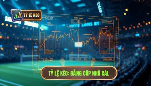 Tỷ lệ kèo phản ánh điều gì trước giờ bóng lăn